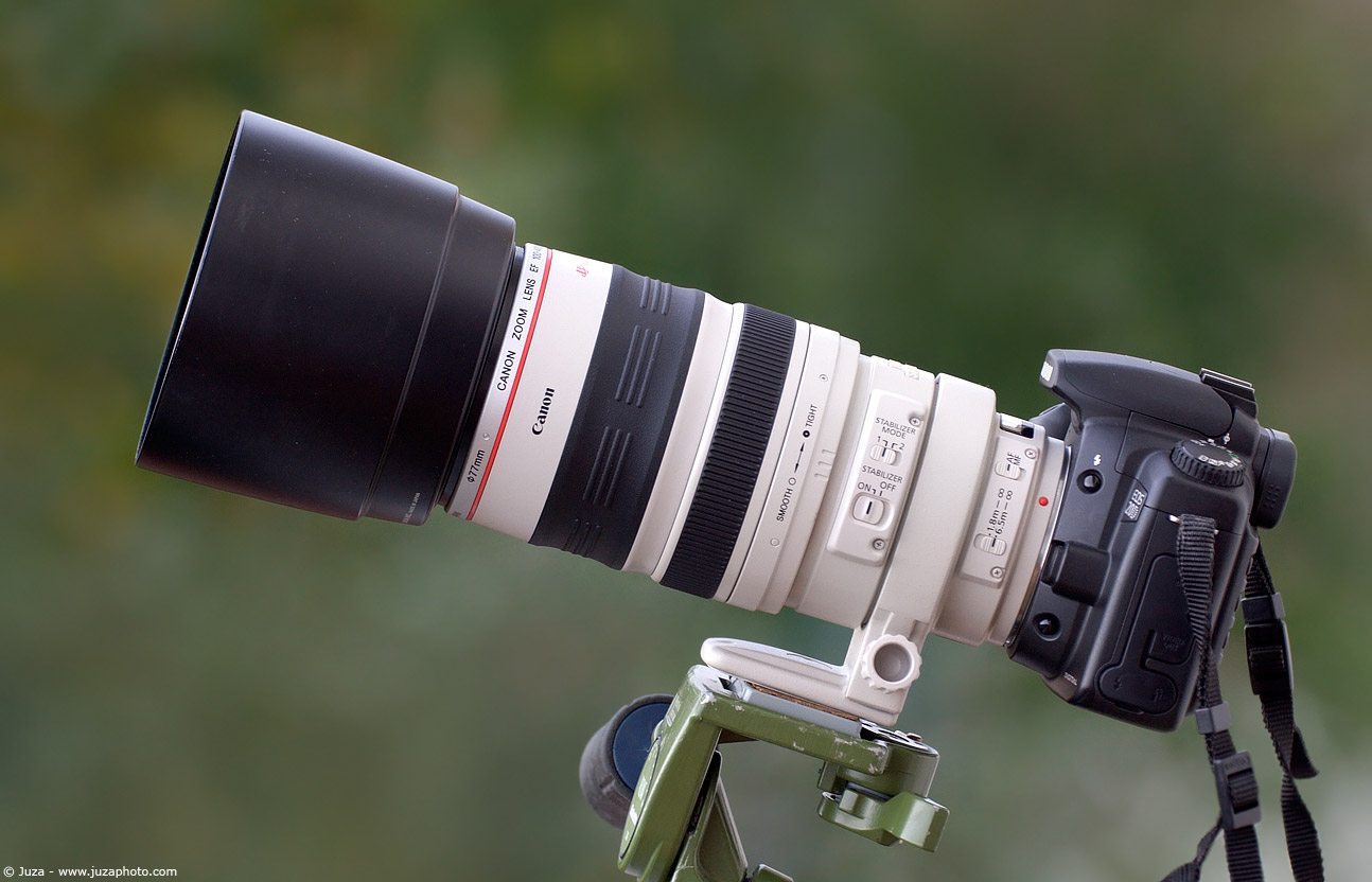 Canon EF 100-400mm f/4.5-5.6 L IS USM Field Review | JuzaPhoto