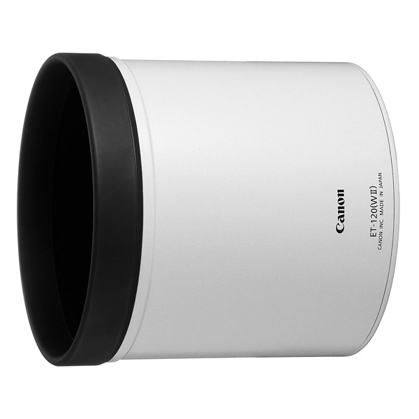 Canon EF 200-400 f/4L IS 1.4x