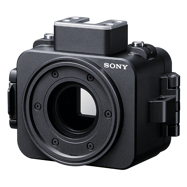 Sony RX0, top