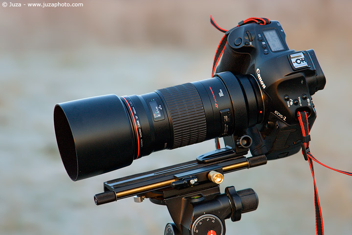Canon EF 180mm f/3.5 L USM Field Review | JuzaPhoto
