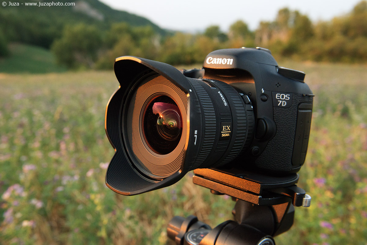Nikon D800: Image Quality on the field | JuzaPhoto