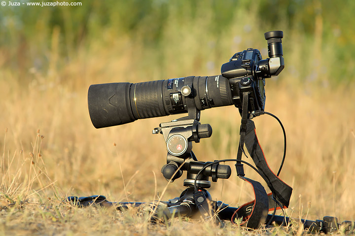 Sigma 180mm f3.5 EX APO Macro HSM Field Review | JuzaPhoto