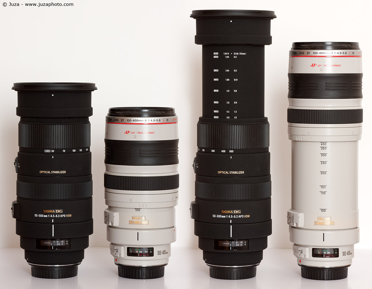 Sigma 50-500 f/4.5-6.3 OS HSM (vs Canon 100-400) | JuzaPhoto