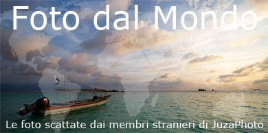 [Foto dal Mondo]