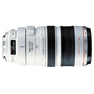 Canon EF 100-400mm f/4.5-5.6 L IS USM