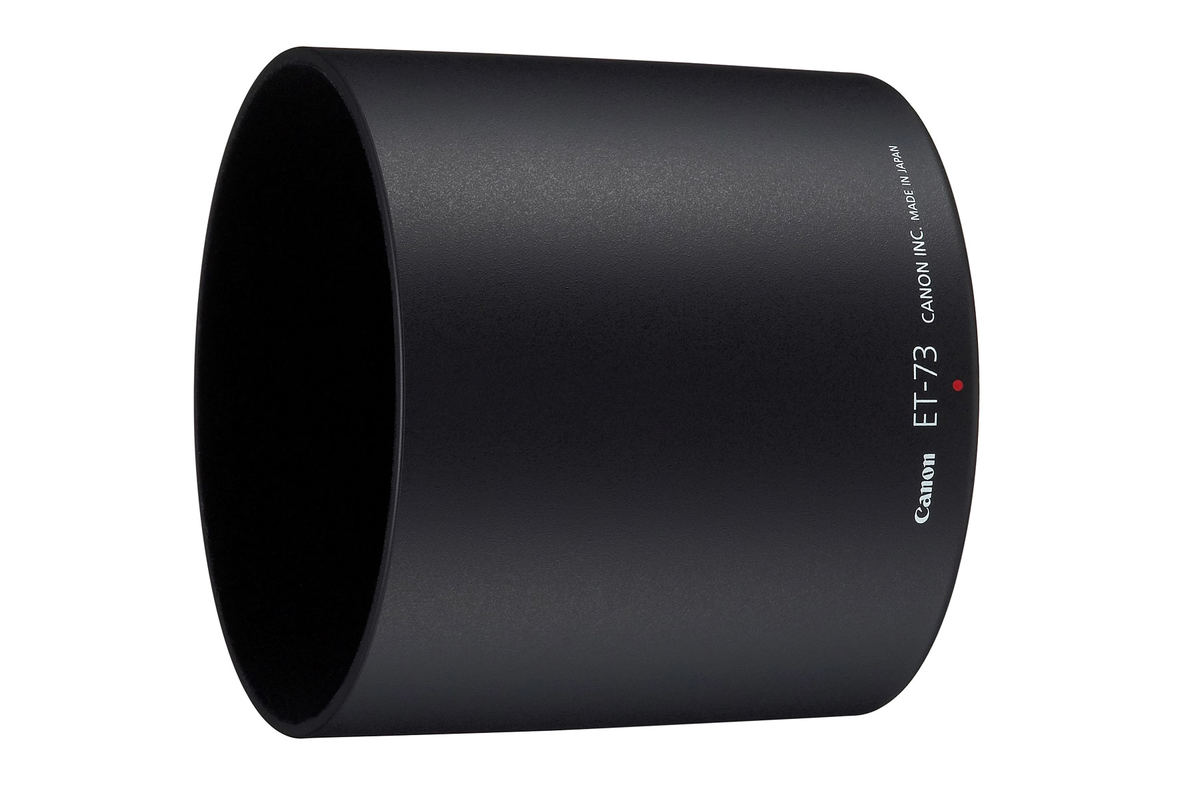 Canon EF 100mm f/2.8 L Macro IS USM : Specifications and Opinions