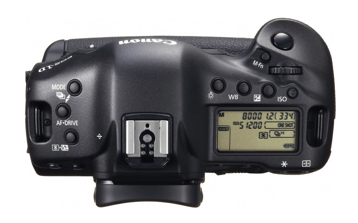 Canon 1DX : Specifications and Opinions | JuzaPhoto