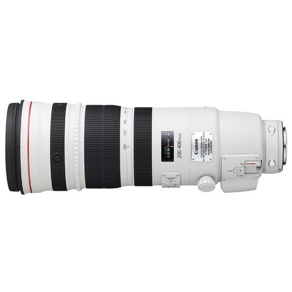 Canon EF 200-400 f/4L IS 1.4x
