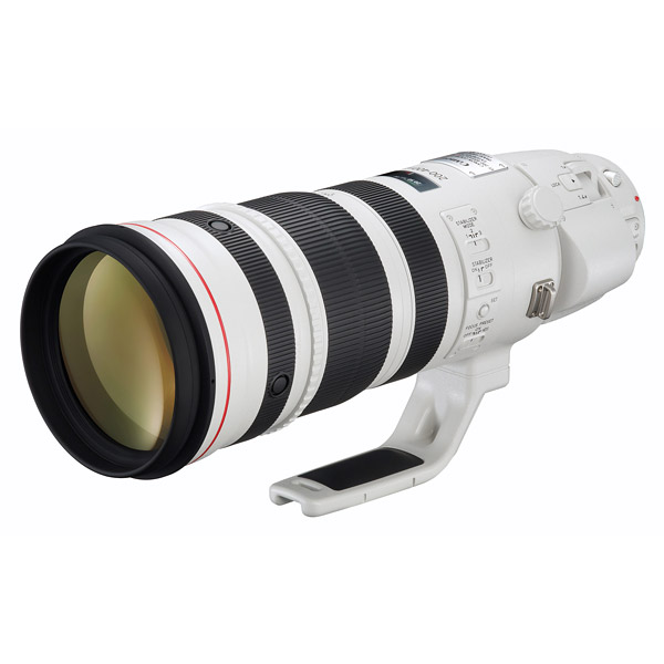 Canon EF 200-400 f/4L IS 1.4x