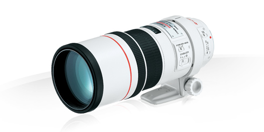 Canon EF 300mm f/4.0 L IS USM