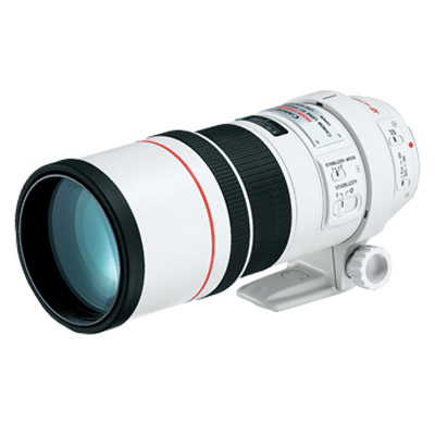 Canon EF 300mm f/4.0 L IS USM