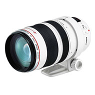 Canon EF 35-350mm f/3.5-5.6L USM