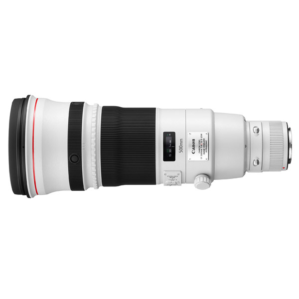 Canon EF 500mm f/4 L IS II USM