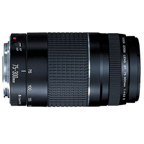 Canon EF 75-300mm f/4-5.6 III