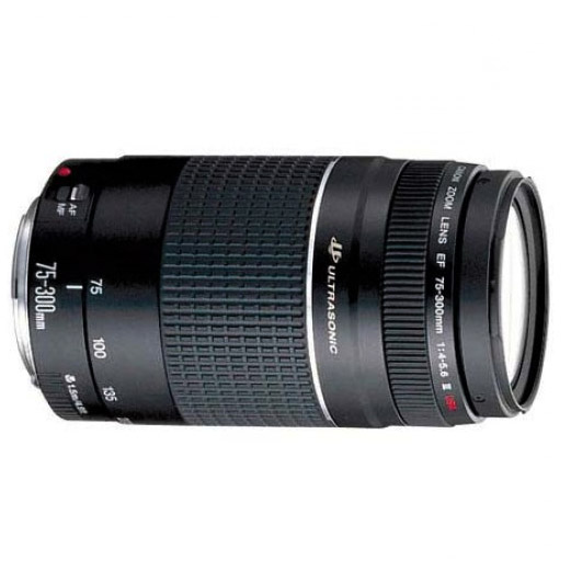 Image result for Canon EF 75-300mm f/4-5.6 III USM