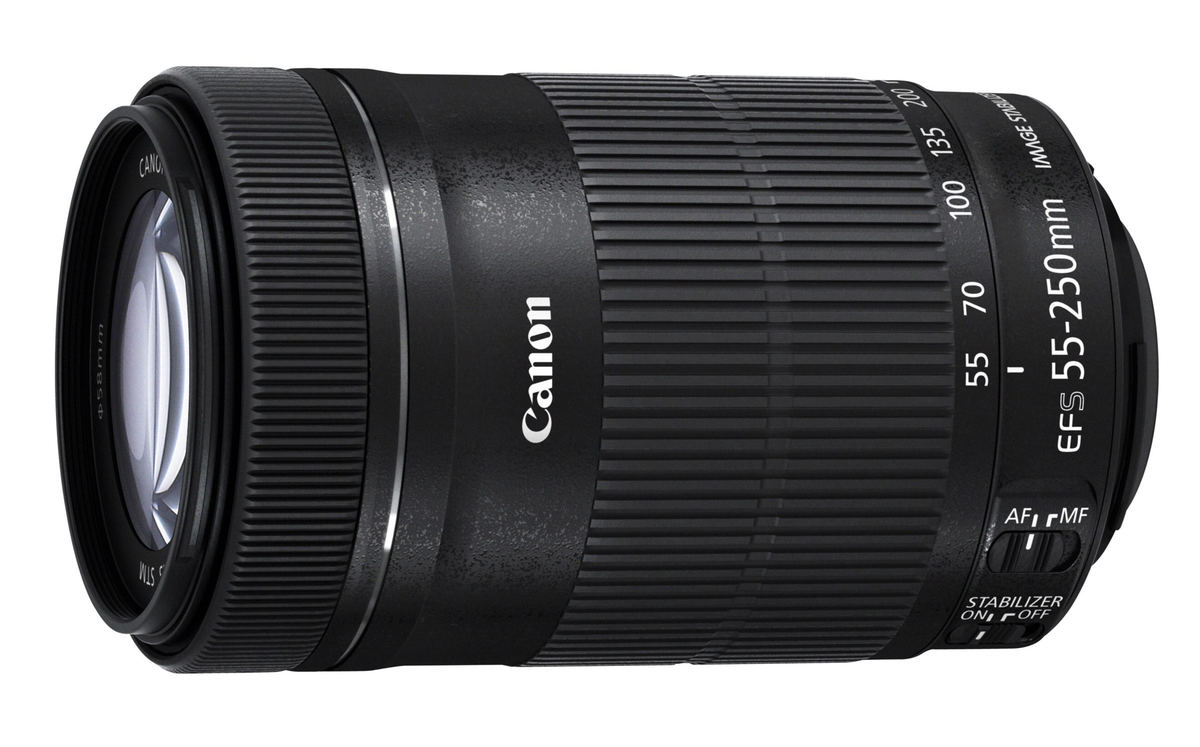 Canon EF-S 55-250mm f/4-5.6 IS STM : Caratteristiche e Opinioni | JuzaPhoto