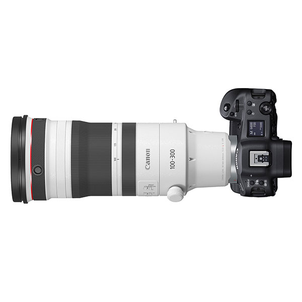 Canon RF 100-300mm f/2.8 L IS USM