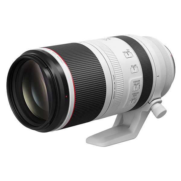 Canon RF 100-500mm f/4.5-7.1 L IS USM