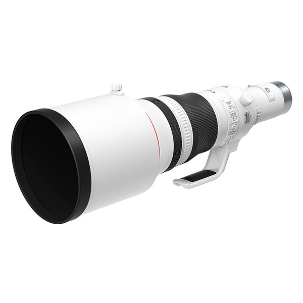 Canon RF 800mm f/5.6 L IS USM