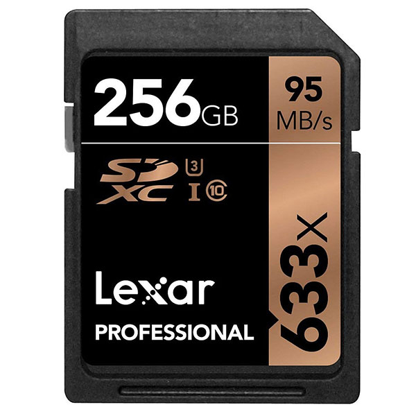 Lexar SDXC 256 GB (95MB/s)