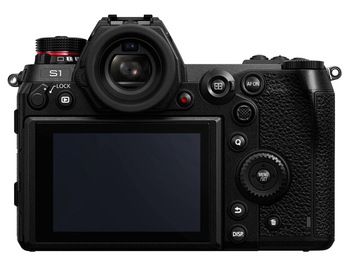 ショット数12536枚 PANASONIC DC-S1 ボディ耐久回数は40万 ショット数12536枚 PANASONIC DC-S1 ボディ耐久回数は40万