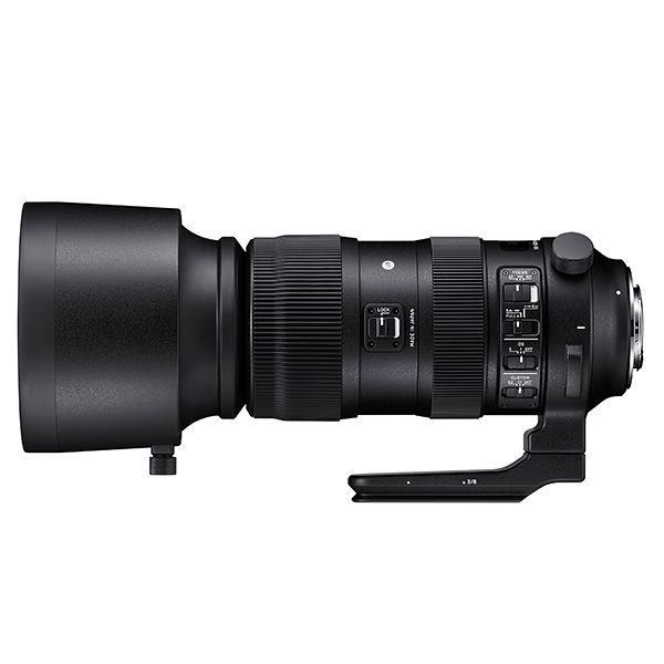 Sigma 60-600mm f/4.5-6.3 DG OS HSM Sport