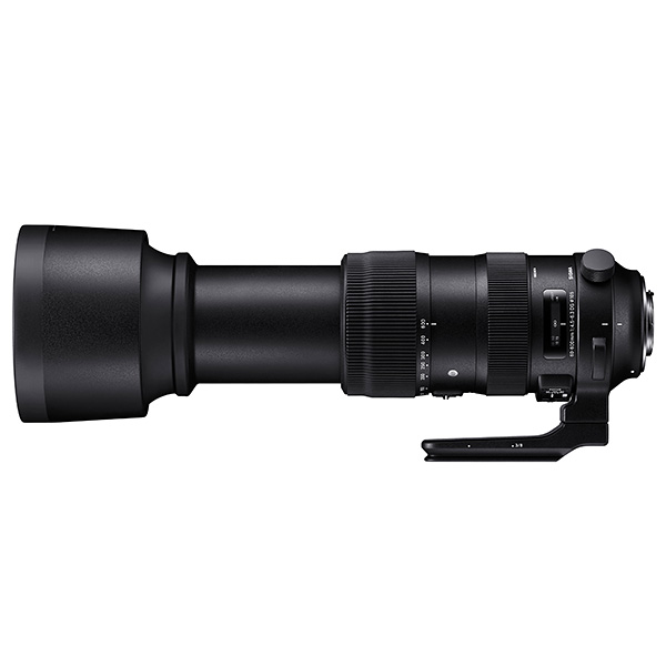 Sigma 60-600mm f/4.5-6.3 DG OS HSM Sport