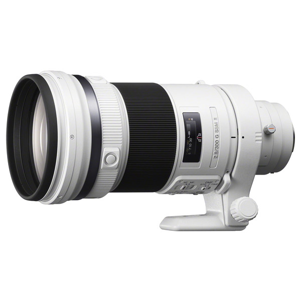 Sony 300mm f/2.8 G SSM II