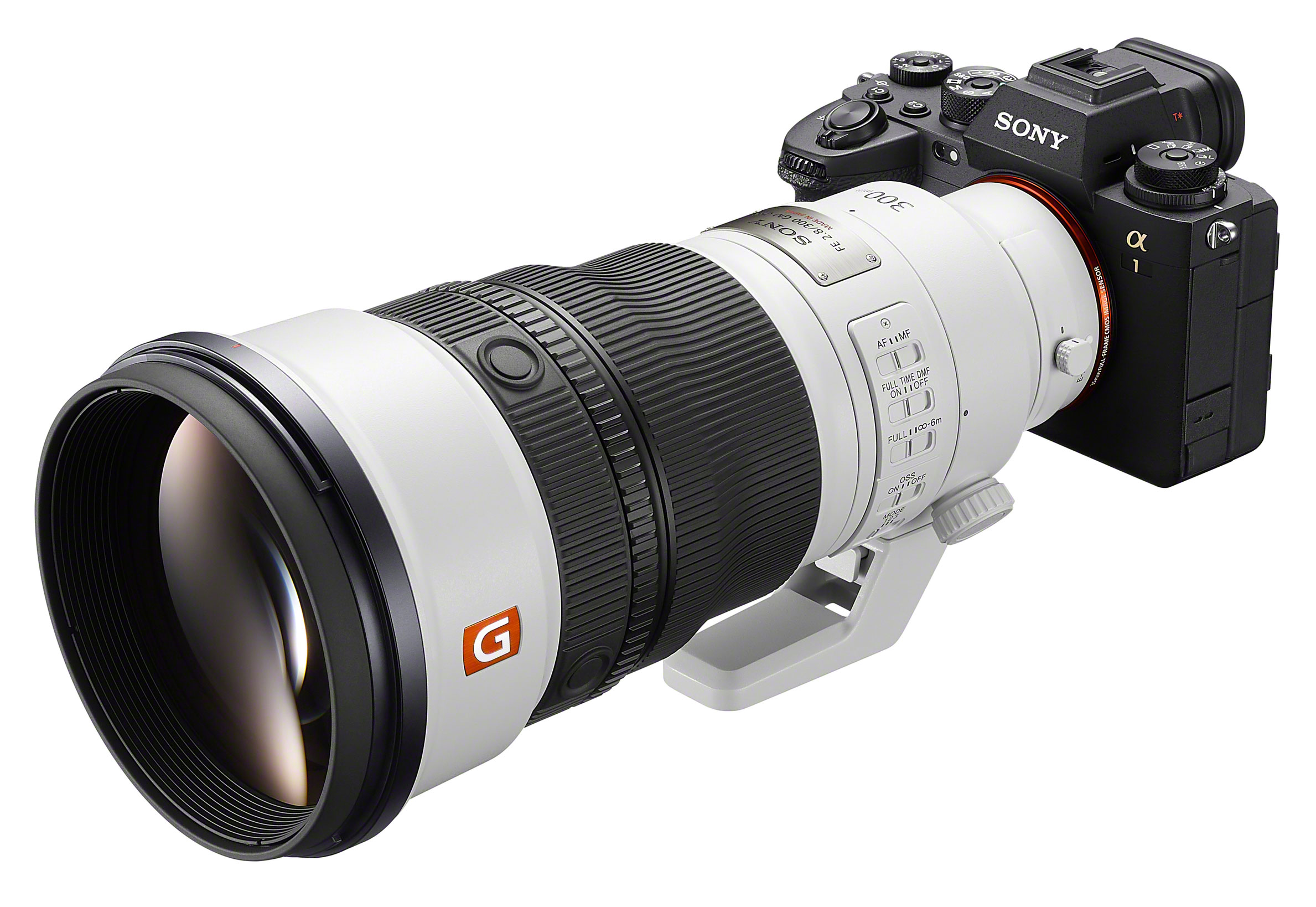 Sony FE 300mm f/2.8 GM OSS