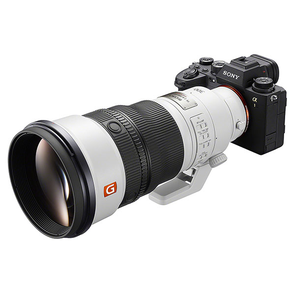 Sony FE 300mm f/2.8 GM OSS