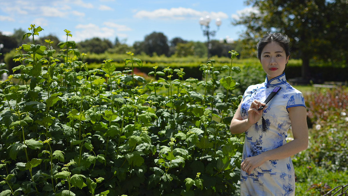photo Shuxin Zheng