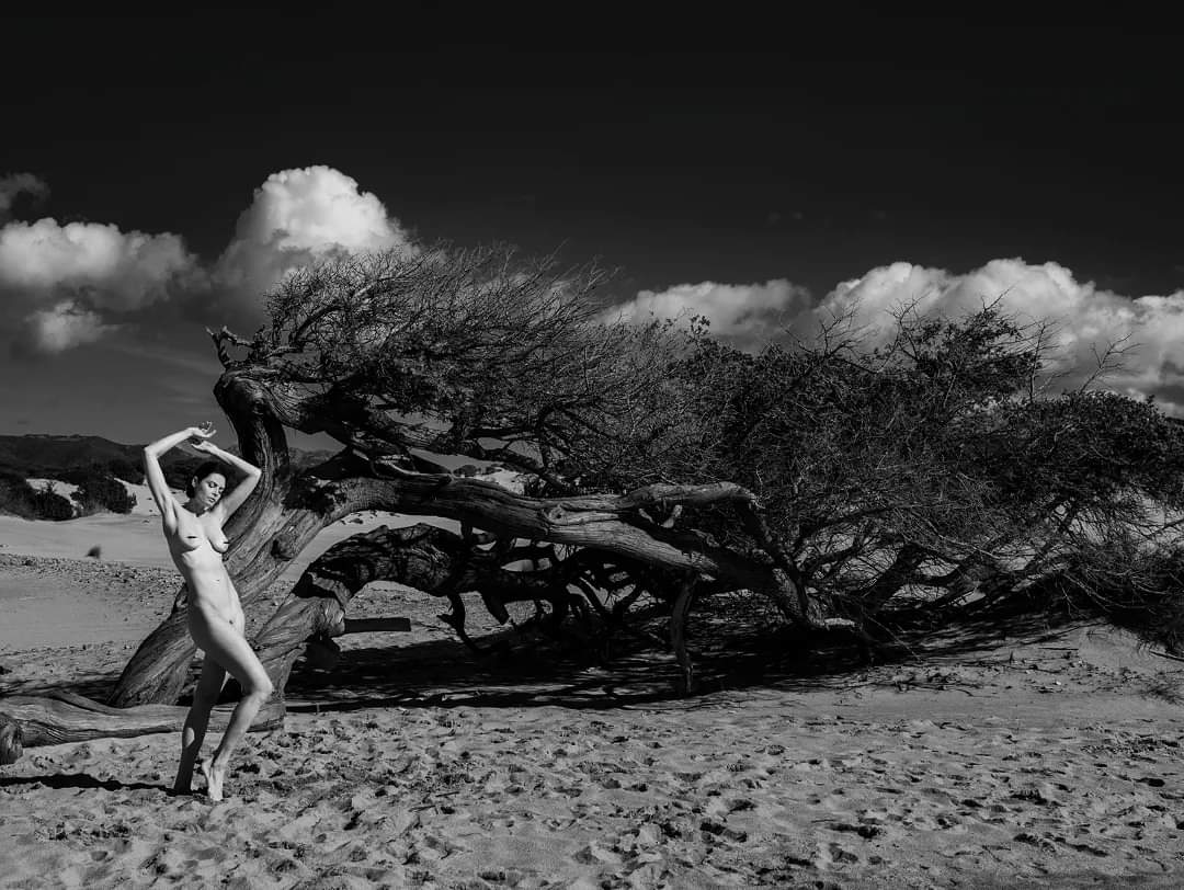 photo Matiss3
