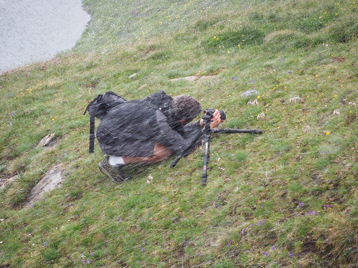 Foto Personale