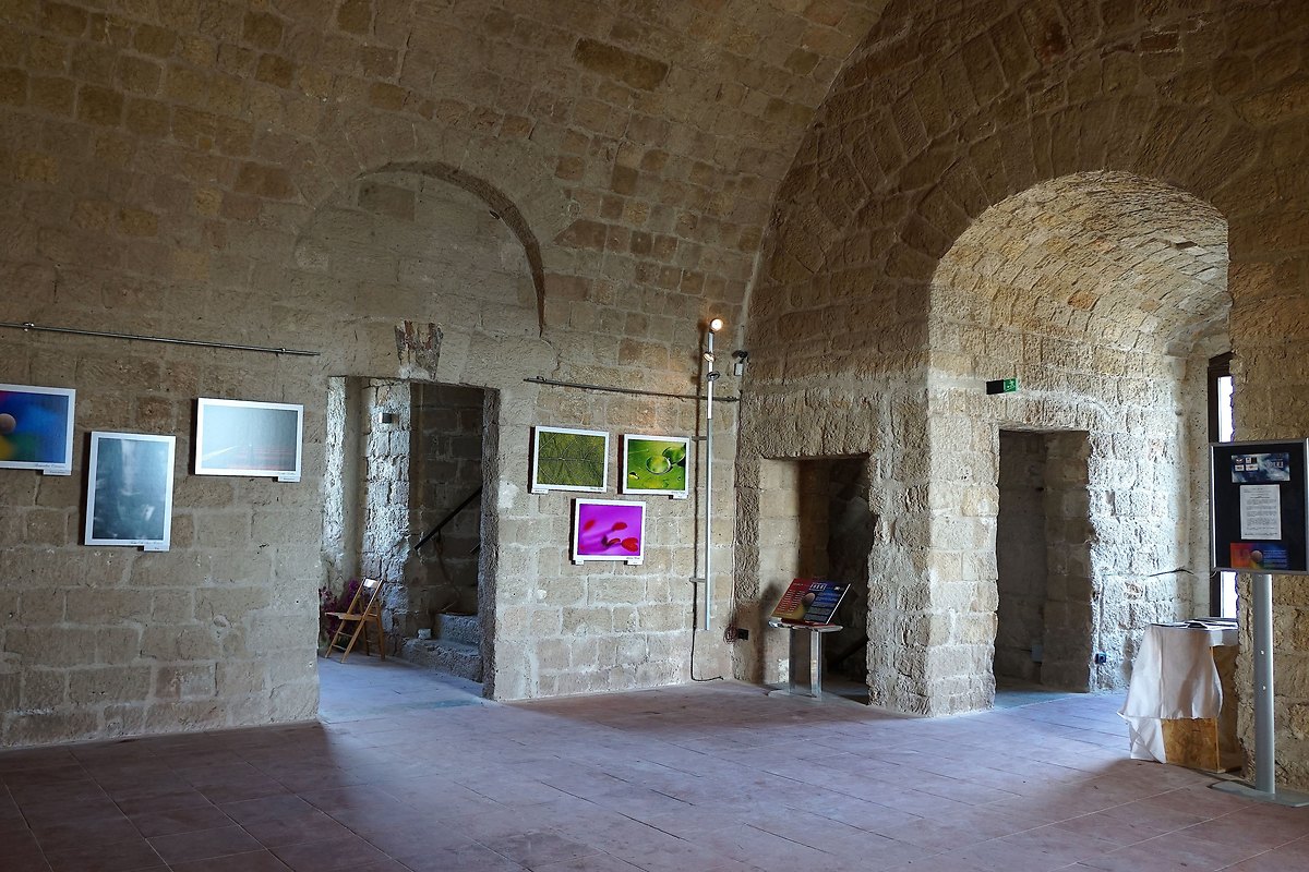 Foto Personale