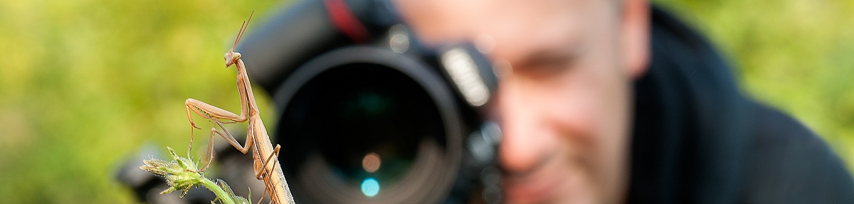 Foto Personale