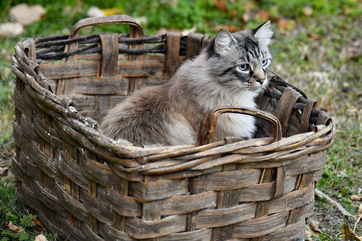Foto Personale