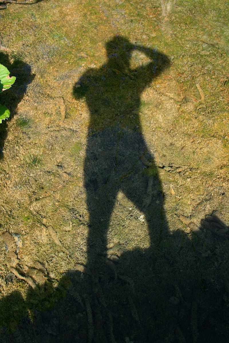 Foto Personale