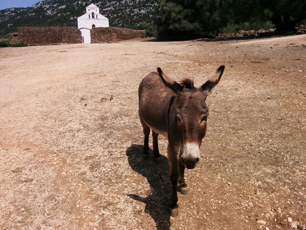 Foto Personale