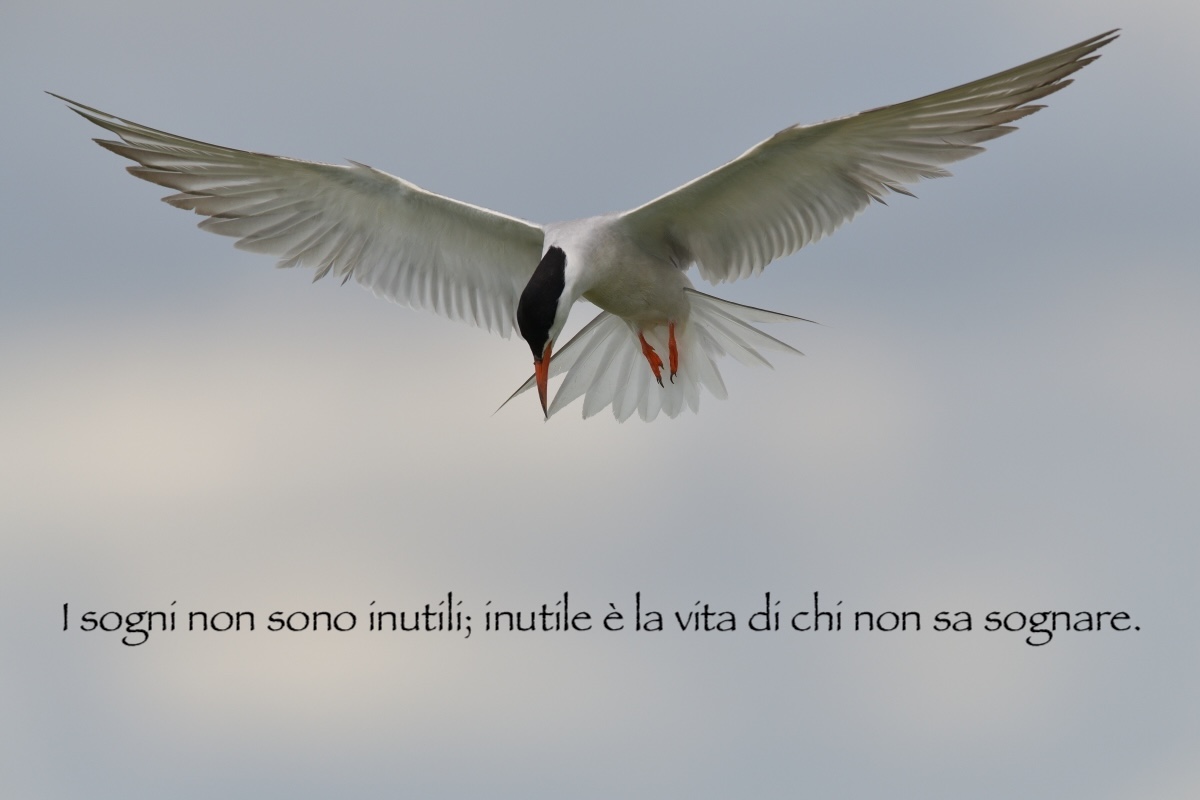 Foto Personale