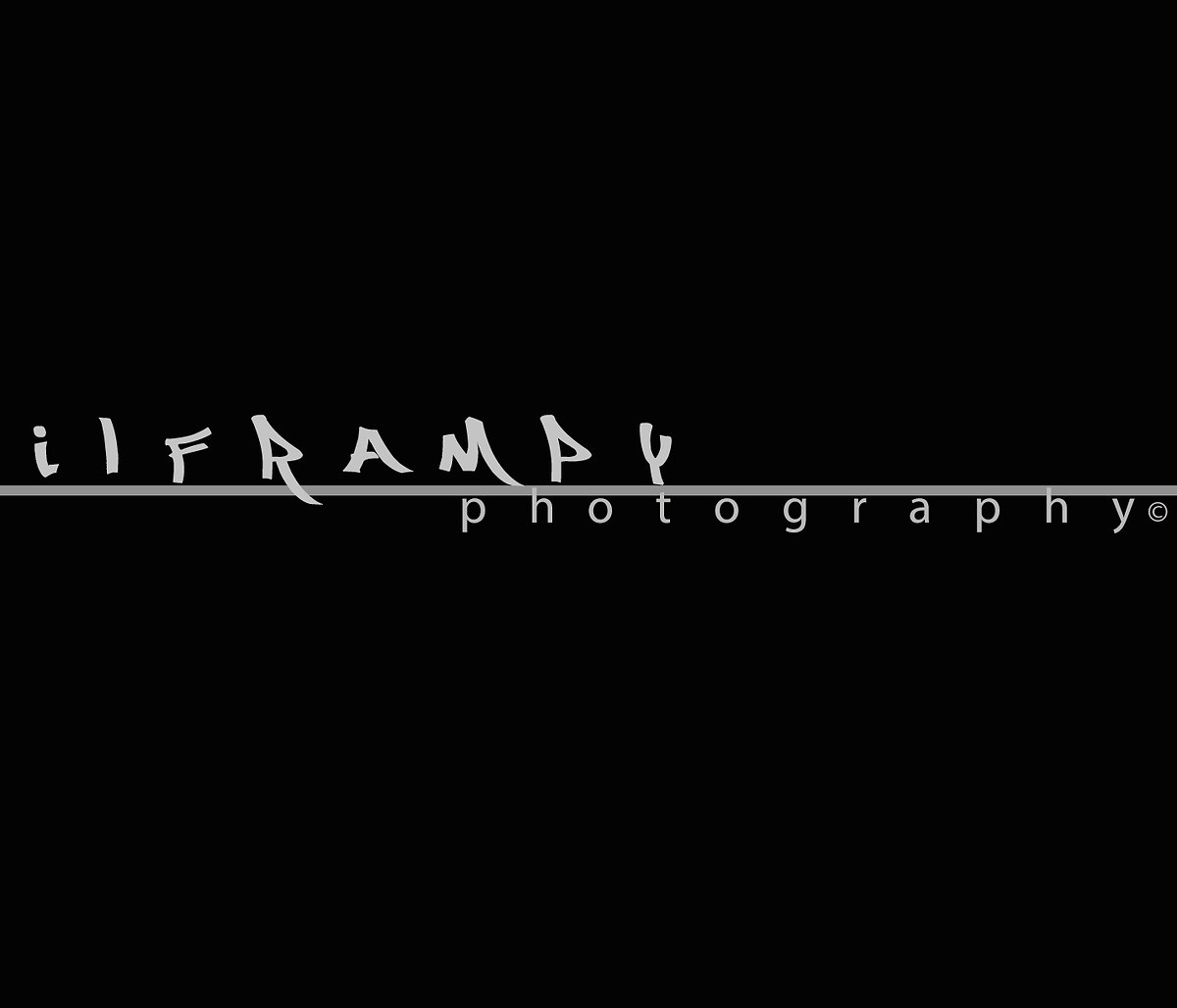 Foto Personale