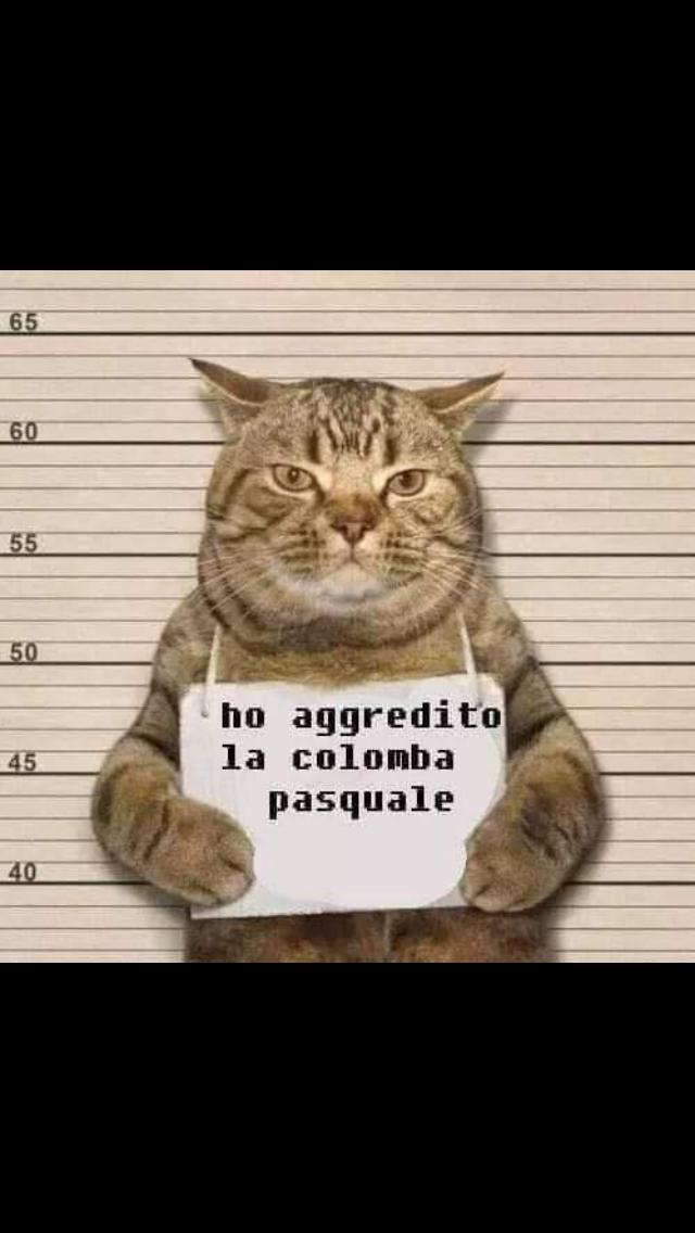 Foto Personale